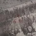 Микровелюр Crush col.21 Микровелюр Crush col.21