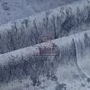 Микровелюр Crush col.27 Микровелюр Crush col.27