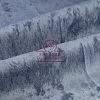 Микровелюр Crush col.27 Микровелюр Crush col.27